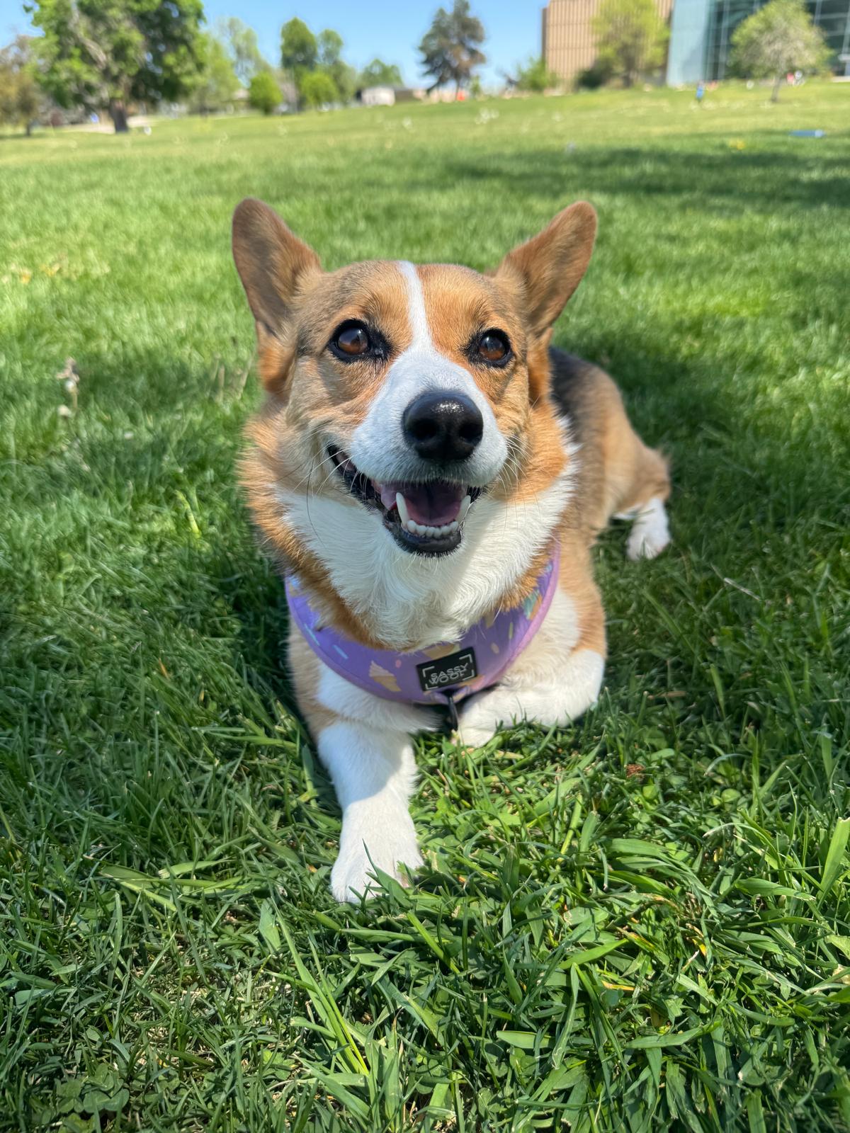 First Good Girl Mochi